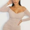 Shape Stone Mesh Ruched Bardot Bodycon Dress